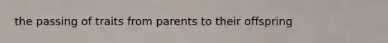 the passing of traits from parents to their offspring