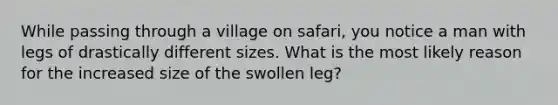 While passing through a village on safari, you notice a man with legs of drastically different sizes. What is the most likely reason for the increased size of the swollen leg?