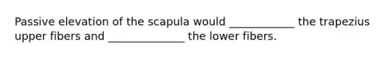 Passive elevation of the scapula would ____________ the trapezius upper fibers and ______________ the lower fibers.