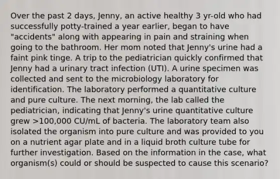 Over the past 2 days, Jenny, an active healthy 3 yr-old who had successfully potty-trained a year earlier, began to have "accidents" along with appearing in pain and straining when going to the bathroom. Her mom noted that Jenny's urine had a faint pink tinge. A trip to the pediatrician quickly confirmed that Jenny had a urinary tract infection (UTI). A urine specimen was collected and sent to the microbiology laboratory for identification. The laboratory performed a quantitative culture and pure culture. The next morning, the lab called the pediatrician, indicating that Jenny's urine quantitative culture grew >100,000 CU/mL of bacteria. The laboratory team also isolated the organism into pure culture and was provided to you on a nutrient agar plate and in a liquid broth culture tube for further investigation. Based on the information in the case, what organism(s) could or should be suspected to cause this scenario?