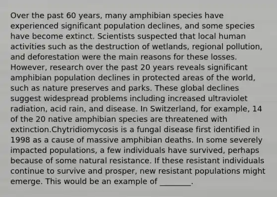 Over the past 60 years, many amphibian species have experienced significant population declines, and some species have become extinct. Scientists suspected that local human activities such as the destruction of wetlands, regional pollution, and deforestation were the main reasons for these losses. However, research over the past 20 years reveals significant amphibian population declines in protected areas of the world, such as nature preserves and parks. These global declines suggest widespread problems including increased ultraviolet radiation, acid rain, and disease. In Switzerland, for example, 14 of the 20 native amphibian species are threatened with extinction.Chytridiomycosis is a fungal disease first identified in 1998 as a cause of massive amphibian deaths. In some severely impacted populations, a few individuals have survived, perhaps because of some natural resistance. If these resistant individuals continue to survive and prosper, new resistant populations might emerge. This would be an example of ________.