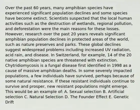 Over the past 60 years, many amphibian species have experienced significant population declines and some species have become extinct. Scientists suspected that the local human activities such as the destruction of wetlands, regional pollution, and deforestation were the main reasons for these losses. However, research over the past 20 years reveals significant amphibian population declines in protected areas of the world, such as nature preserves and parks. These global declines suggest widespread problems including increased UV radiation, acid rain, and disease. In Switzerland, for example, 14 of the 20 native amphibian species are threatened with extinction. Chytridiomycosis is a fungal disease first identified in 1998 as a cause of massive amphibian deaths. In some severely impacted populations, a few individuals have survived, perhaps because of some natural resistance. If these resistant individuals continue to survive and prosper, new resistant populations might emerge. This would be an example of: A. Sexual selection B. Artificial selection C. Natural Selection D. The Founder Effect E. Genetic Drift