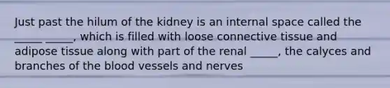 Just past the hilum of the kidney is an internal space called the _____ _____, which is filled with loose connective tissue and adipose tissue along with part of the renal _____, the calyces and branches of the blood vessels and nerves