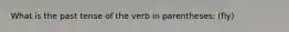 What is the past tense of the verb in parentheses: (fly)