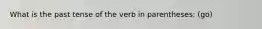 What is the past tense of the verb in parentheses: (go)