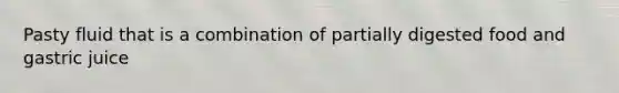 Pasty fluid that is a combination of partially digested food and gastric juice