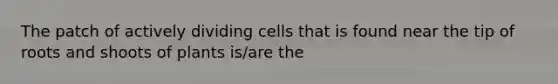 The patch of actively dividing cells that is found near the tip of roots and shoots of plants is/are the