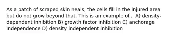 As a patch of scraped skin heals, the cells fill in the injured area but do not grow beyond that. This is an example of... A) density-dependent inhibition B) growth factor inhibition C) anchorage independence D) density-independent inhibition