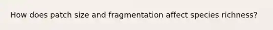 How does patch size and fragmentation affect species richness?