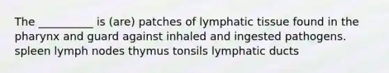 The __________ is (are) patches of lymphatic tissue found in the pharynx and guard against inhaled and ingested pathogens. spleen lymph nodes thymus tonsils lymphatic ducts