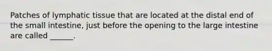 Patches of lymphatic tissue that are located at the distal end of <a href='https://www.questionai.com/knowledge/kt623fh5xn-the-small-intestine' class='anchor-knowledge'>the small intestine</a>, just before the opening to the <a href='https://www.questionai.com/knowledge/kGQjby07OK-large-intestine' class='anchor-knowledge'>large intestine</a> are called ______.