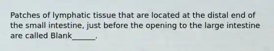 Patches of lymphatic tissue that are located at the distal end of the small intestine, just before the opening to the large intestine are called Blank______.
