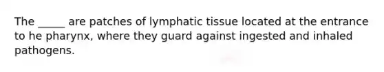 The _____ are patches of lymphatic tissue located at the entrance to he pharynx, where they guard against ingested and inhaled pathogens.