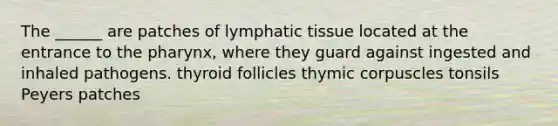 The ______ are patches of lymphatic tissue located at the entrance to the pharynx, where they guard against ingested and inhaled pathogens. thyroid follicles thymic corpuscles tonsils Peyers patches