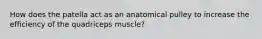 How does the patella act as an anatomical pulley to increase the efficiency of the quadriceps muscle?