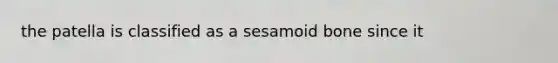 the patella is classified as a sesamoid bone since it