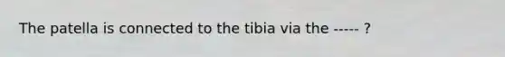 The patella is connected to the tibia via the ----- ?