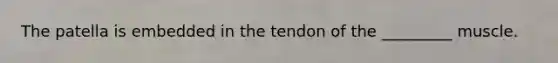 The patella is embedded in the tendon of the _________ muscle.