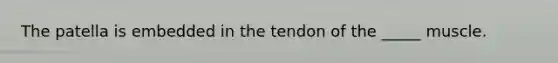 The patella is embedded in the tendon of the _____ muscle.