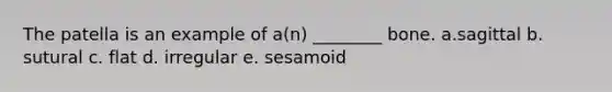 The patella is an example of a(n) ________ bone. a.sagittal b. sutural c. flat d. irregular e. sesamoid