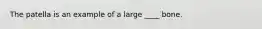 The patella is an example of a large ____ bone.