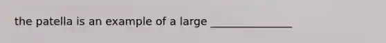 the patella is an example of a large _______________