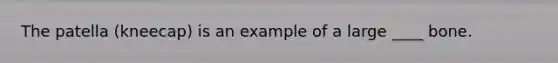 The patella (kneecap) is an example of a large ____ bone.