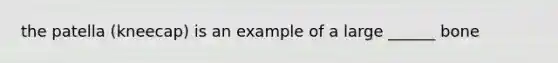the patella (kneecap) is an example of a large ______ bone
