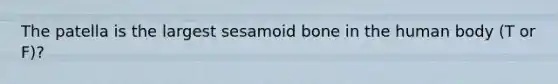 The patella is the largest sesamoid bone in the human body (T or F)?