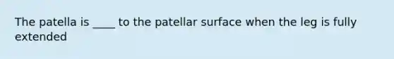 The patella is ____ to the patellar surface when the leg is fully extended