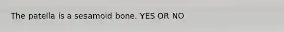 The patella is a sesamoid bone. YES OR NO