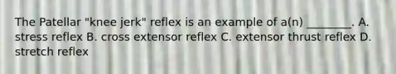 The Patellar "knee jerk" reflex is an example of a(n) ________. A. stress reflex B. cross extensor reflex C. extensor thrust reflex D. stretch reflex