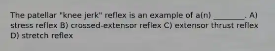 The patellar "knee jerk" reflex is an example of a(n) ________. A) stress reflex B) crossed-extensor reflex C) extensor thrust reflex D) stretch reflex