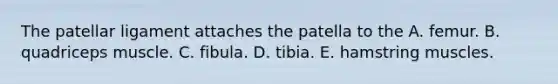 The patellar ligament attaches the patella to the A. femur. B. quadriceps muscle. C. fibula. D. tibia. E. hamstring muscles.