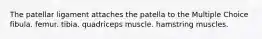 The patellar ligament attaches the patella to the Multiple Choice fibula. femur. tibia. quadriceps muscle. hamstring muscles.