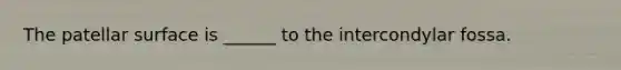 The patellar surface is ______ to the intercondylar fossa.