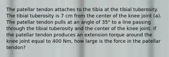 The patellar tendon attaches to the tibia at the tibial tuberosity. The tibial tuberosity is 7 cm from the center of the knee joint (a). The patellar tendon pulls at an angle of 35° to a line passing through the tibial tuberosity and the center of the knee joint. If the patellar tendon produces an extension torque around the knee joint equal to 400 Nm, how large is the force in the patellar tendon?