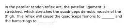 In the patellar tendon reflex arc, the patellar ligament is stretched, which stretches the quadriceps demotic muscle of the thigh. This reflex will cause the quadriceps femoris to _______ and the hamstrings to _________.