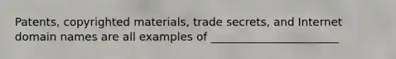 Patents, copyrighted materials, trade secrets, and Internet domain names are all examples of _______________________