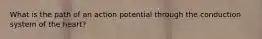What is the path of an action potential through the conduction system of the heart?