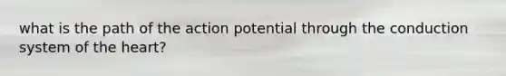 what is the path of the action potential through the conduction system of the heart?