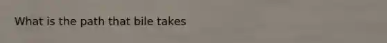 What is the path that bile takes