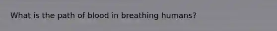 What is the path of blood in breathing humans?