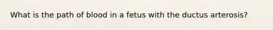 What is the path of blood in a fetus with the ductus arterosis?