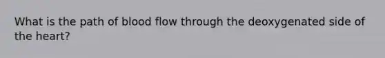 What is the path of blood flow through the deoxygenated side of the heart?