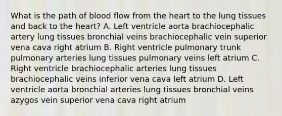 What is the path of blood flow from the heart to the lung tissues and back to the heart? A. Left ventricle aorta brachiocephalic artery lung tissues bronchial veins brachiocephalic vein superior vena cava right atrium B. Right ventricle pulmonary trunk pulmonary arteries lung tissues pulmonary veins left atrium C. Right ventricle brachiocephalic arteries lung tissues brachiocephalic veins inferior vena cava left atrium D. Left ventricle aorta bronchial arteries lung tissues bronchial veins azygos vein superior vena cava right atrium