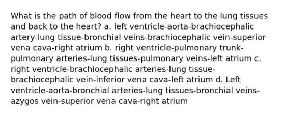 What is the path of blood flow from the heart to the lung tissues and back to the heart? a. left ventricle-aorta-brachiocephalic artery-lung tissue-bronchial veins-brachiocephalic vein-superior vena cava-right atrium b. right ventricle-pulmonary trunk-pulmonary arteries-lung tissues-pulmonary veins-left atrium c. right ventricle-brachiocephalic arteries-lung tissue-brachiocephalic vein-inferior vena cava-left atrium d. Left ventricle-aorta-bronchial arteries-lung tissues-bronchial veins-azygos vein-superior vena cava-right atrium