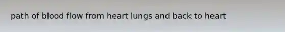 path of blood flow from heart lungs and back to heart