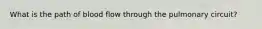 What is the path of blood flow through the pulmonary circuit?