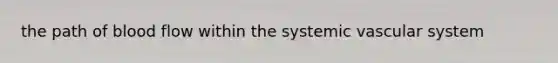 the path of blood flow within the systemic vascular system